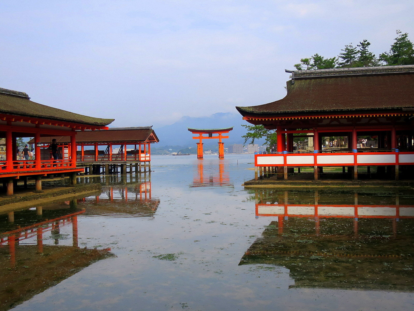 miyajima shrine whywendywrites