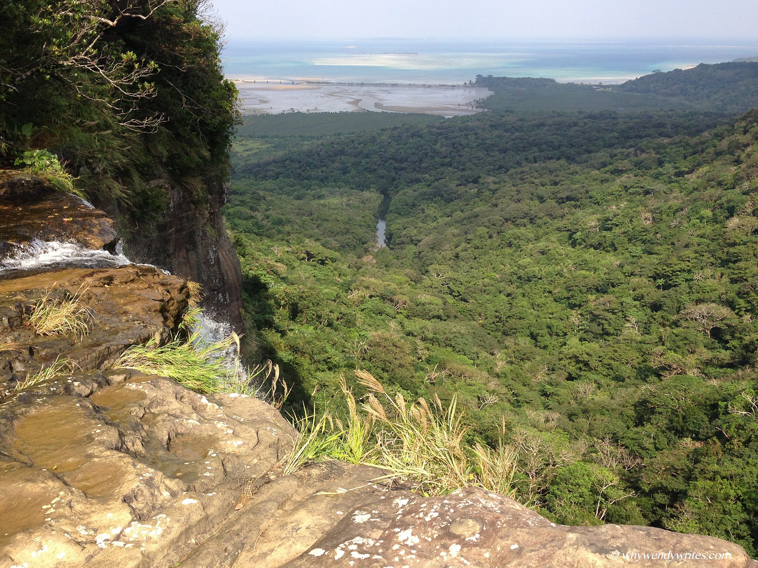 Okinawa 13 Iriomote.JPG
