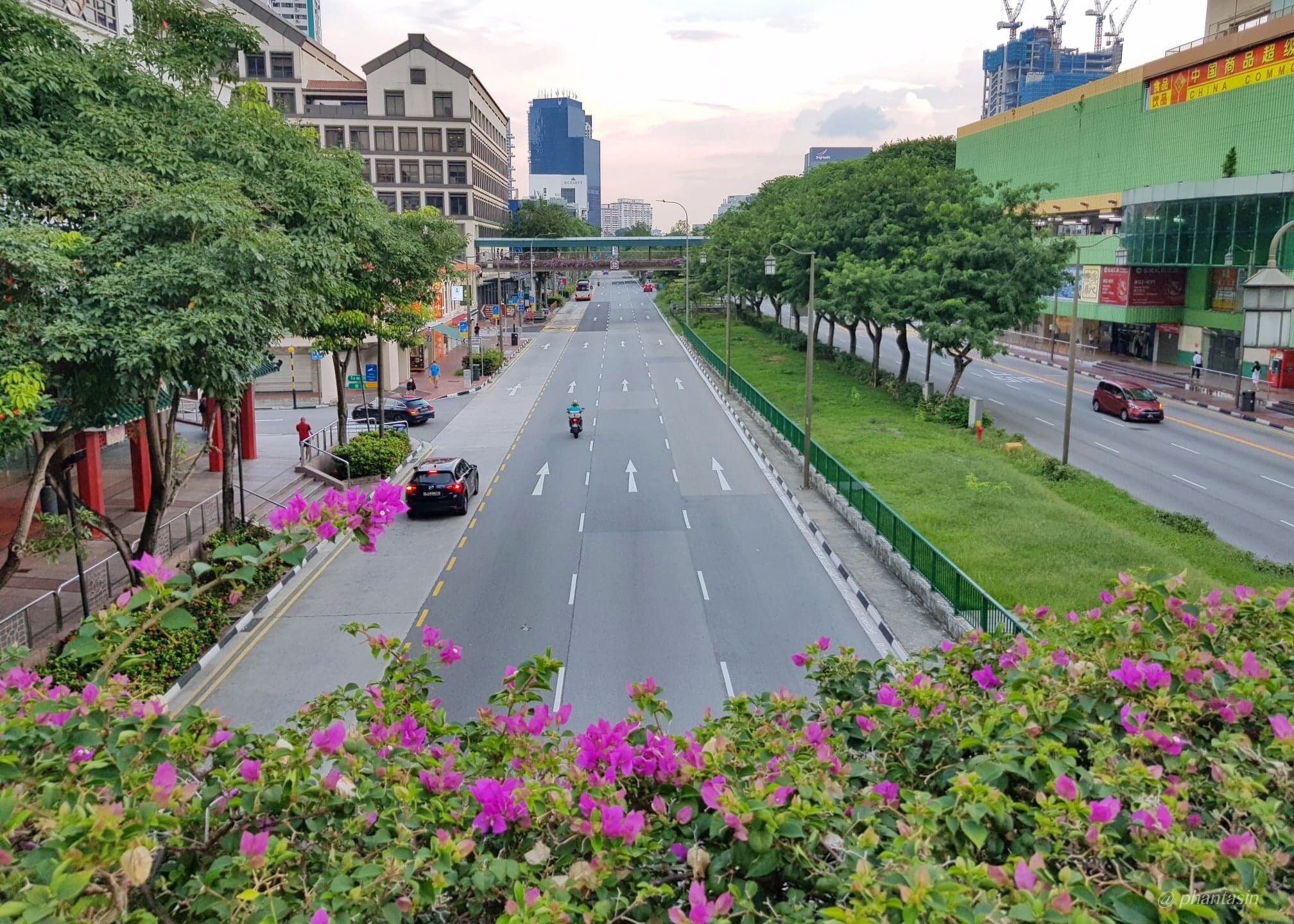 Serenity and silence in Chinatown