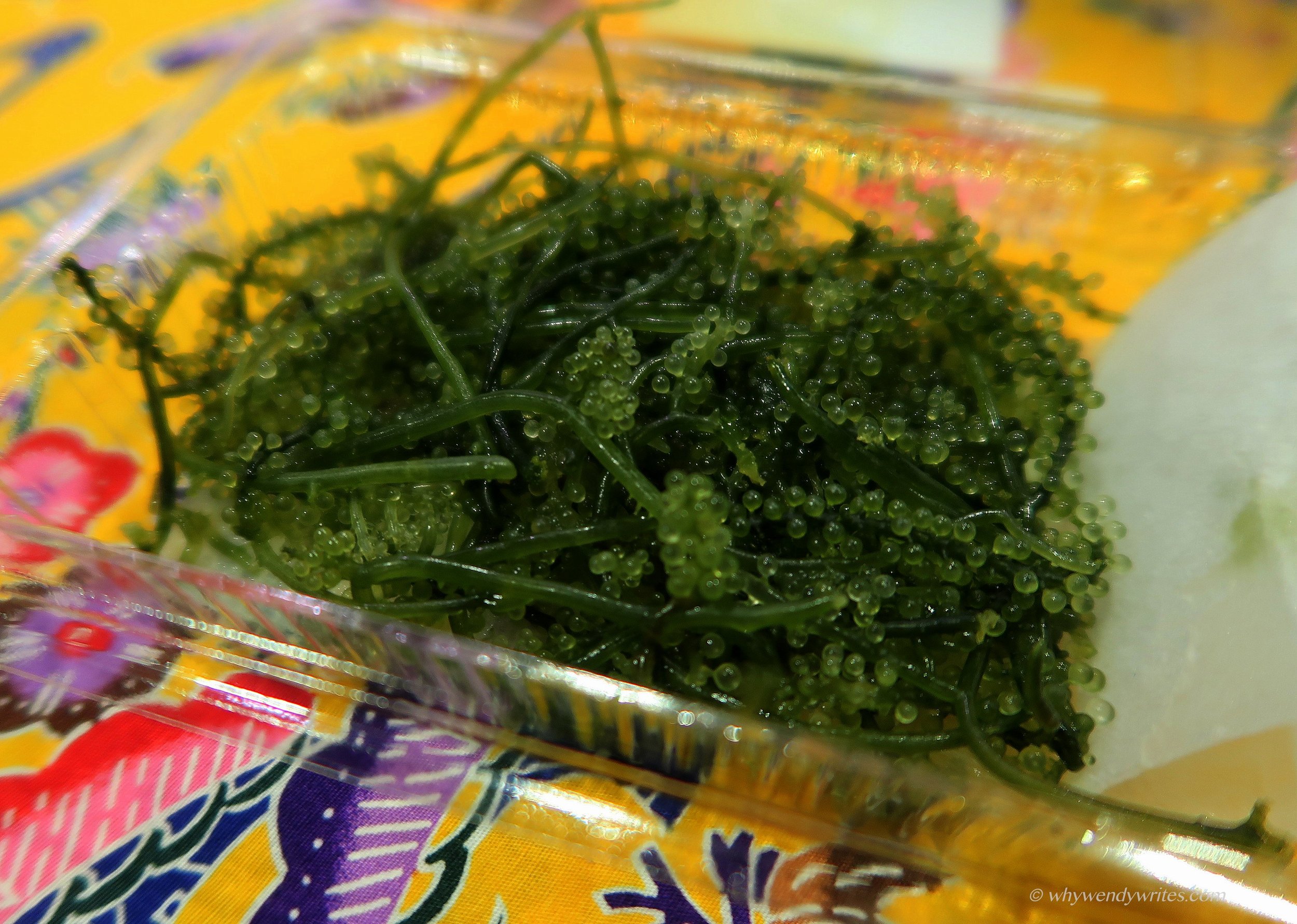 1 Sea grapes.JPG