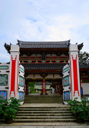 08-IMG_6405.JPG