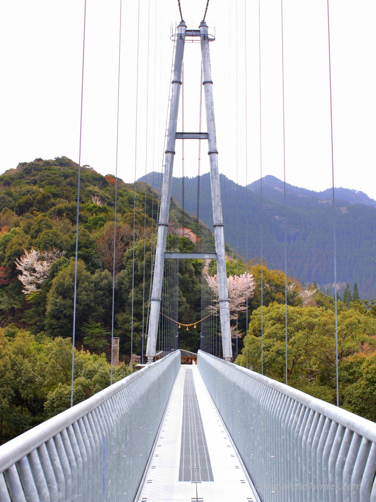 1-Picture 5.JPG