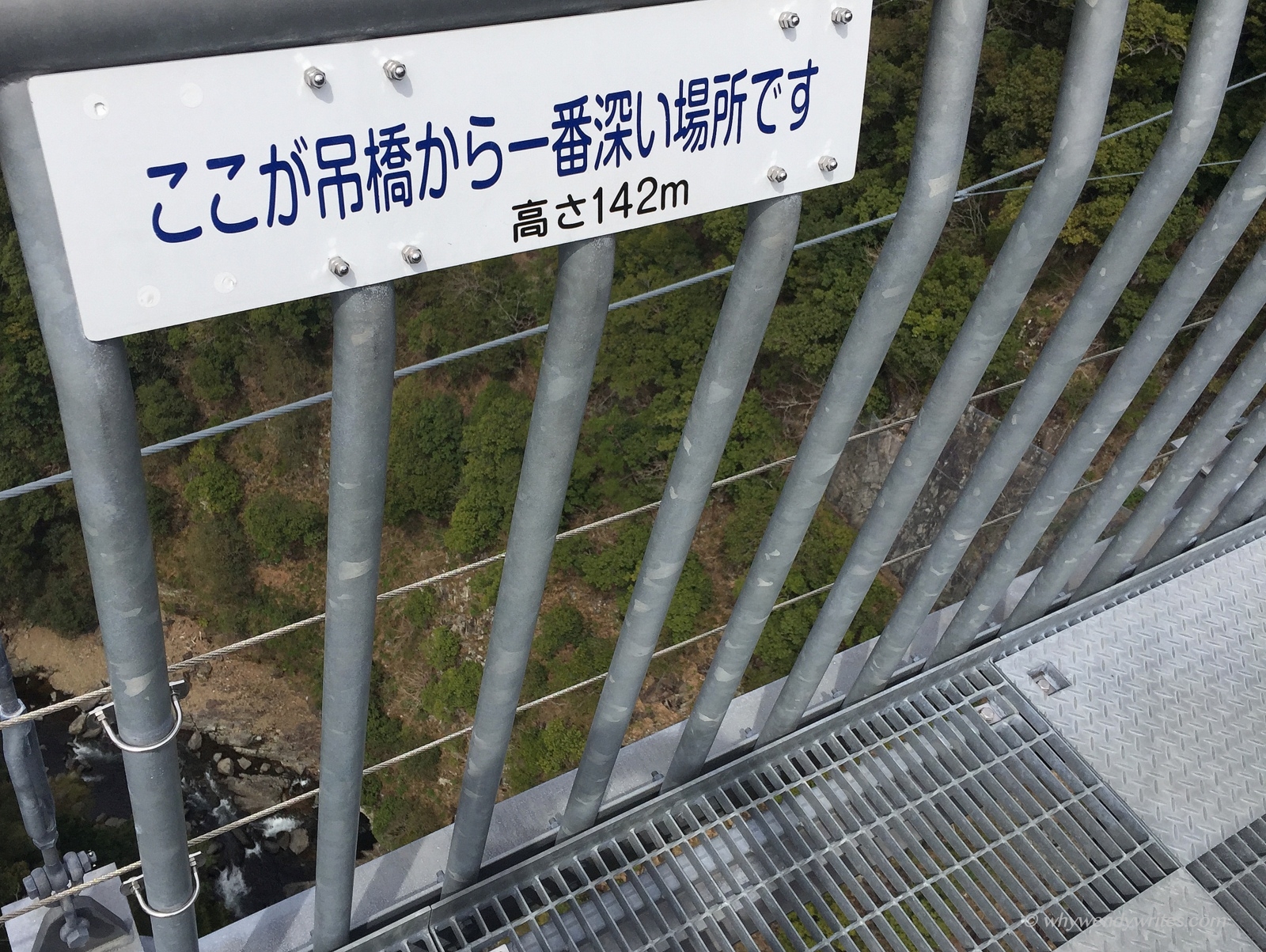 1-Picture 3.JPG