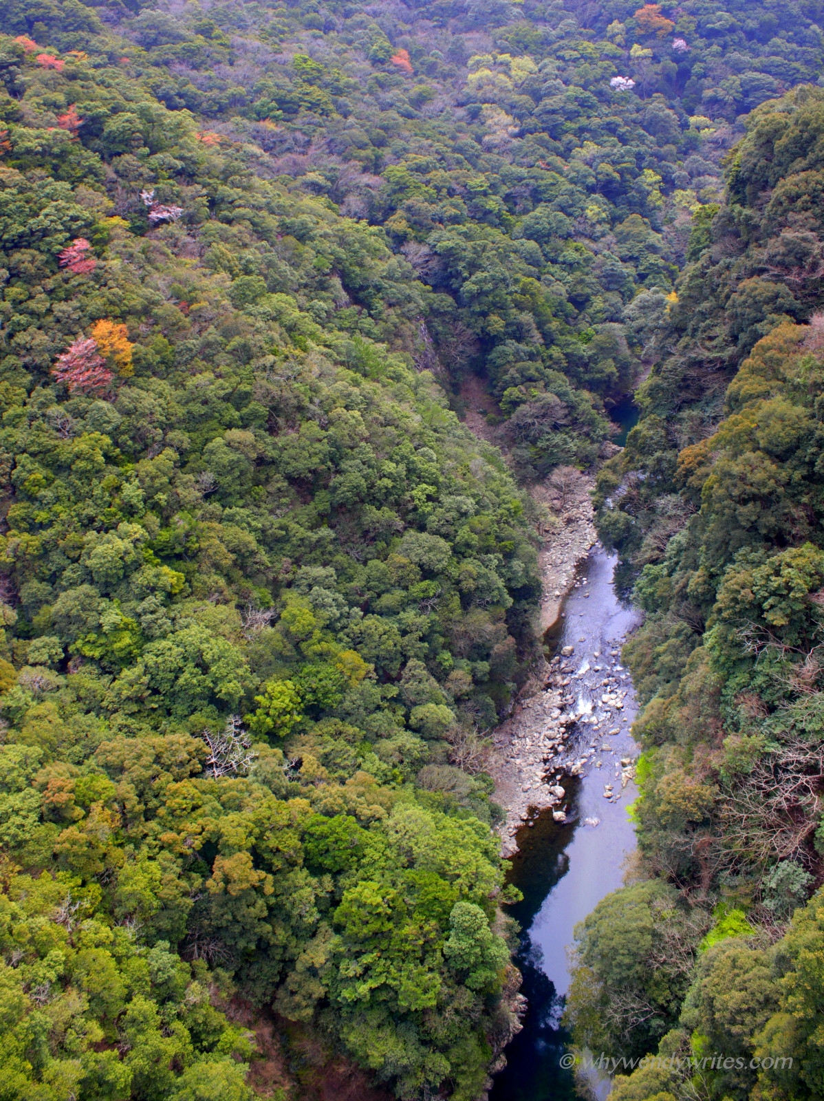 1-Picture 2.JPG